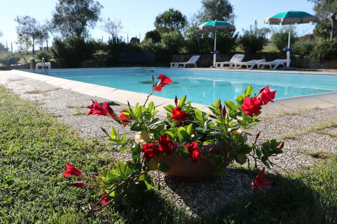 Agriturismo Tinti Montiano  Ngoại thất bức ảnh